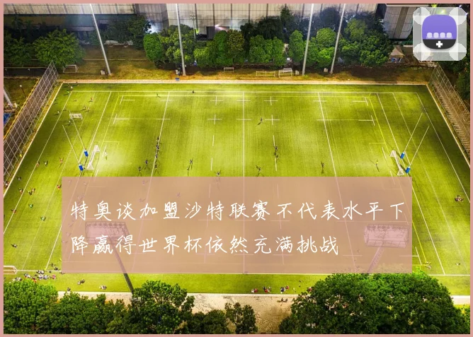特奥谈加盟沙特联赛不代表水平下降赢得世界杯依然充满挑战
