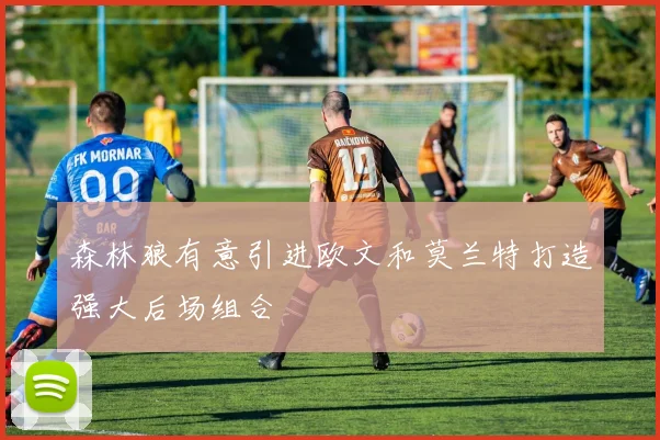 森林狼有意引进欧文和莫兰特打造强大后场组合