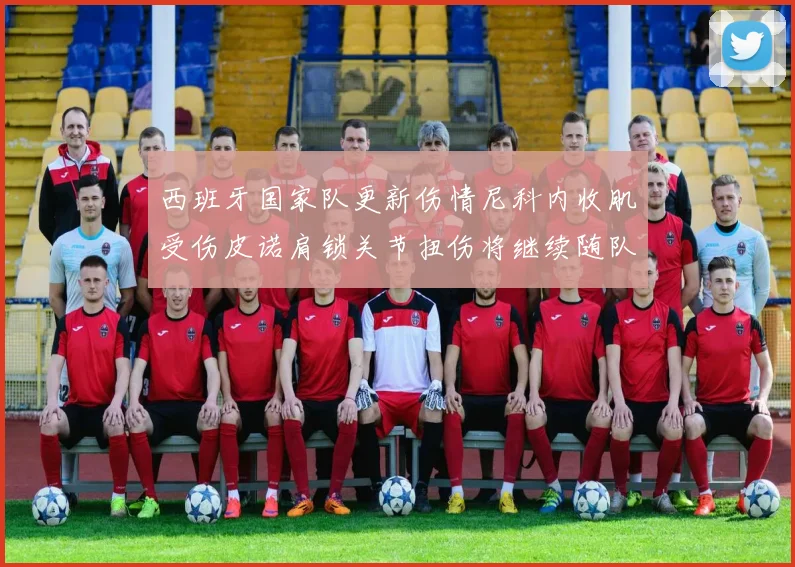 西班牙国家队更新伤情尼科内收肌受伤皮诺肩锁关节扭伤将继续随队训练