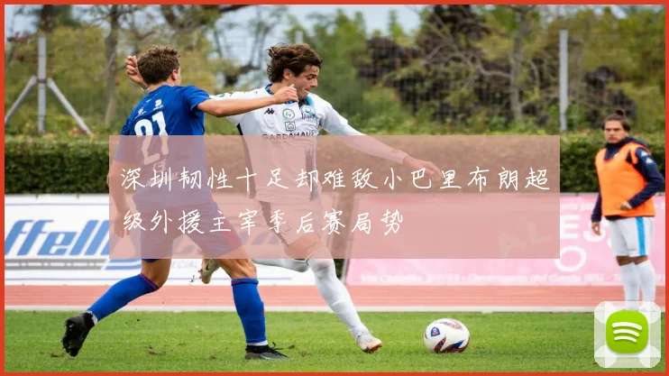 深圳韧性十足却难敌小巴里布朗超级外援主宰季后赛局势